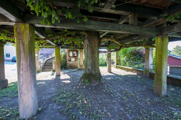 Impressionen aus der Fränkischen Schweiz