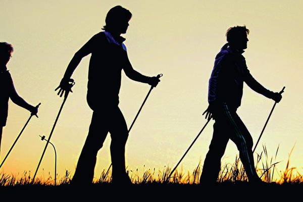 Nordic Walking Wanderer, dargestellt als Schattengestalten, bewegen sich hintereinander über eine Wiese. Die Gräserspitzen werden noch leicht von der Sonne beleuchtet.