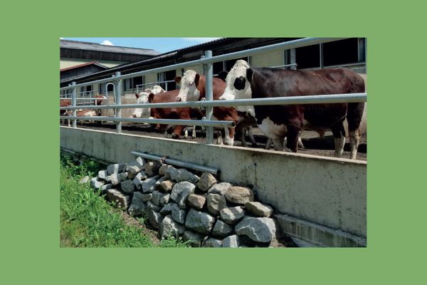 Tiere zum anfassen