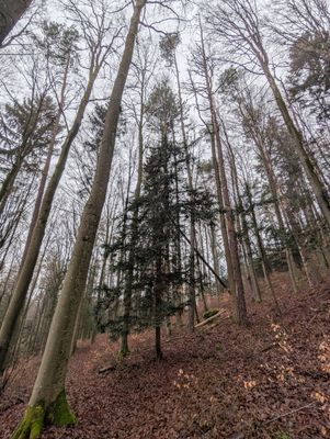 Wandertipp
