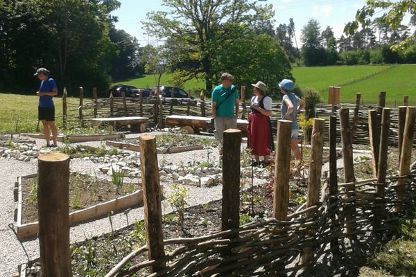 Der Betrachter blickt auf frisch gebaute Beete mit Kräuterkeimlingen. Eingerahmt von einem geflochteten Weidezaun der noch nicht ganz fertiggestellt ist.