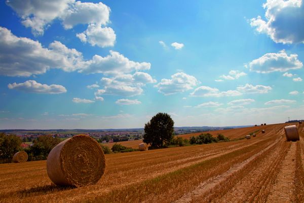 Unter weiß-blauen Himmel liegen in verschiedenen Abständen Getreideballen auf einem langen, abgeernteten Feld.