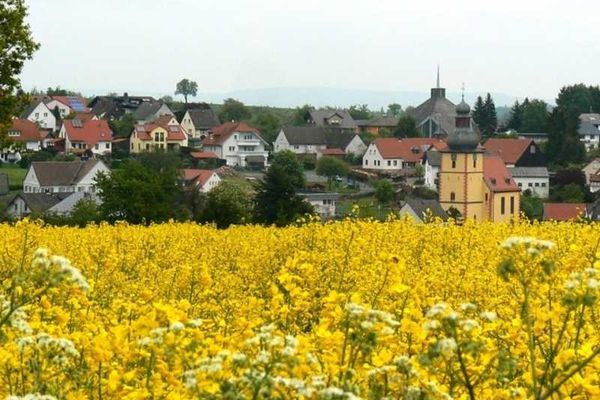 Auf dem HÃ¶henrÃ¼cken des Odenwaldes liegt Vielbrunn.