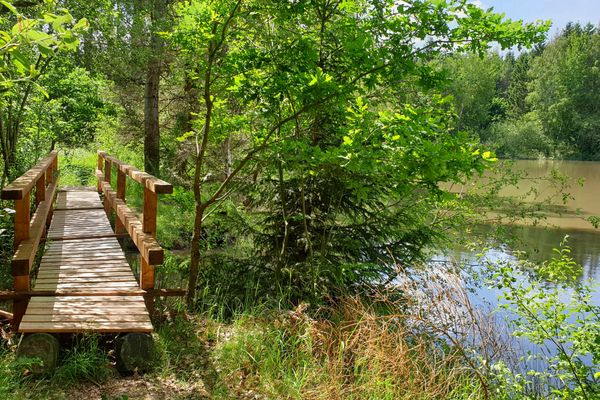 Unterwegs auf dem Rundwanderweg HeinzemannTour führt der Weg durch Waldgebiete, vorbei an Teichen, Feldern und Wiesen zum Geotop Heinzemann. Der Basaltriese, der an den Kopf des Heinzemannes erinnert, ist Namensgeber des Wanderweges.