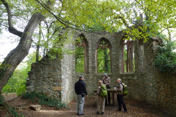 Klosterruine Heiligenberg