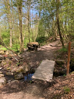 Ein natürlicher Wasserlauf, der über bemooste Basaltsteine in einem Waldgebiet läuft. Parallel dazu verläuft ein Waldweg, bei dem man zunächst einen einfachen Holzsteg überqueren muss, um dann eine hölzerne Sitzgruppe zu passieren.