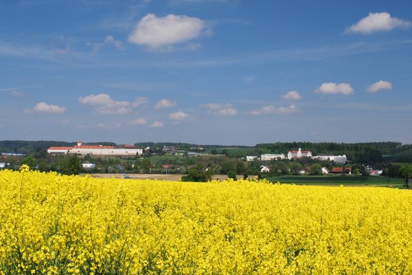 Ein blühendes Rapsfeld im Vordergrund, dahinter in der Ferne und umgeben von Wiesen und Wäldern, die imposante Klosteranlage Mallerdorf und weitere Gebäude.