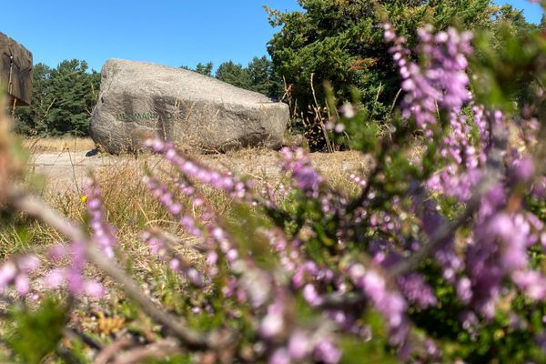 Lönsstein in der Klein Bünstorfer Heide bei Bad Bevensen