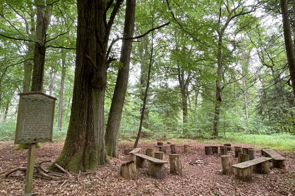 Rießelmanns Kuhle im Rießel bei Bad Bevensen