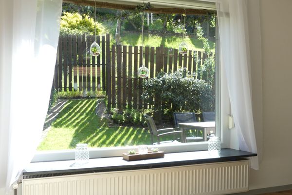 Blick in den Garten