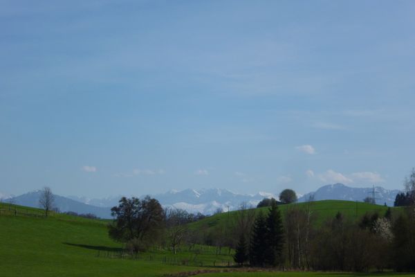 Grandioser Blick über die hügeligen Felder und Wiesen rund um Wolfetsried hinweg auf die Alpenkette.