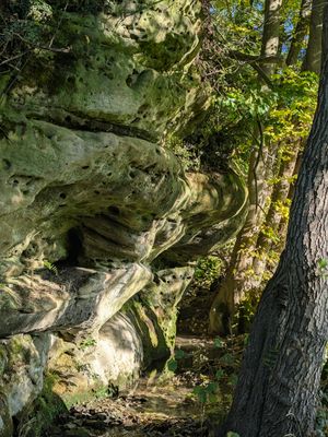 Der Mühlenweg eine Reise in die „kleine Fränkische Schweiz“
