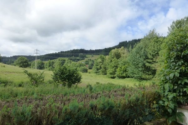 Blick ins Mossautal