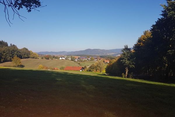 Im Vordergrund eine schattige Wiese und hohe Bäume, dahinter Wiesen und Gebäude im Sonnenschein. Im Hintergrund ein bewaldete, hügelige Landschaft.