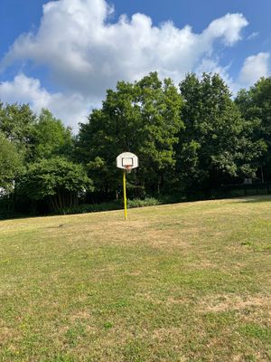 Man sieht hier einen Basketballkorb.