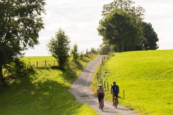 Radfahren durch saftige Wiesen in der Zugspitz Region