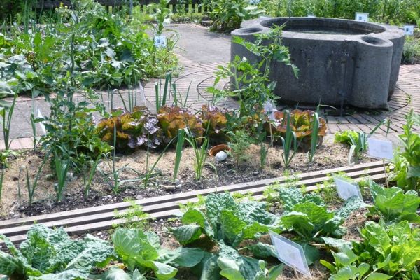 Lehrgarten Landwirtschaftsschule