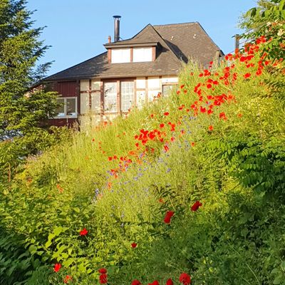 GebÃ¤udeansicht - Garten