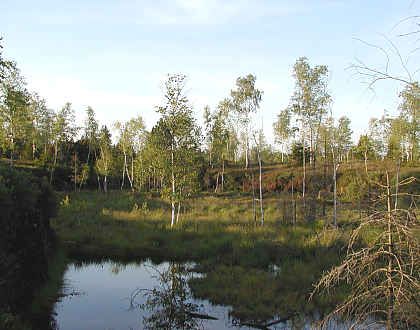 Premer Moor