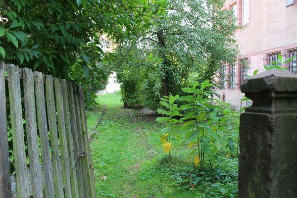 Mainzer Amtskellerei Amorbach