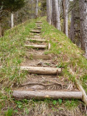 Naturtreppe