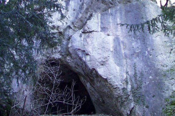Hinter Nadelbäumen erhebt sich eine mächtige Felswand mit einem großen Loch - dem Eingang zur Höhle.