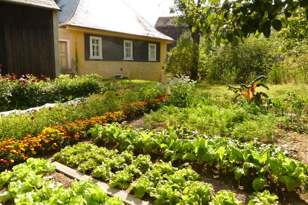 Gemüsegarten