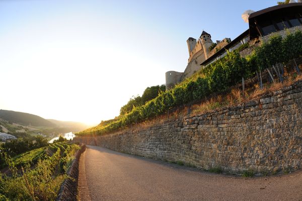 Burg Hornberg Neckarzimmern