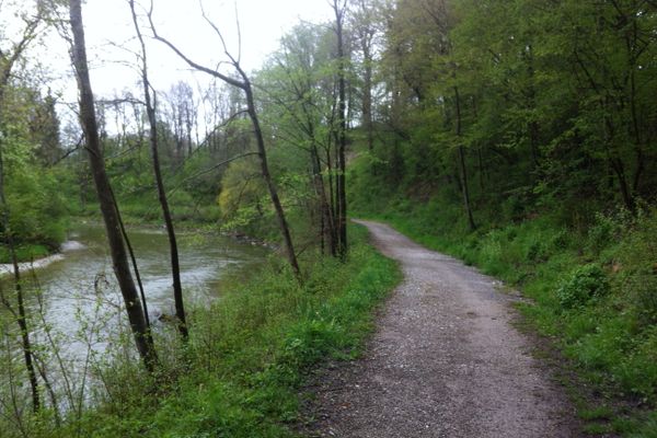 An der Ammer gibt es wunderschöne Wanderwege.