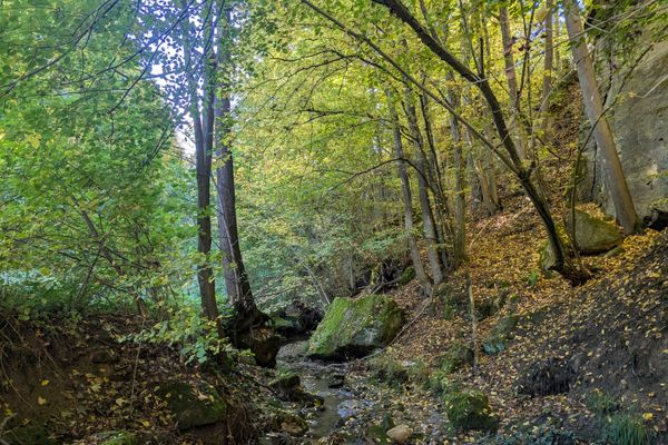 Der Mühlenweg eine Reise in die „kleine Fränkische Schweiz“