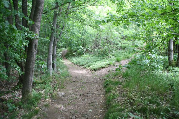 Ausgedehnte Wanderwege