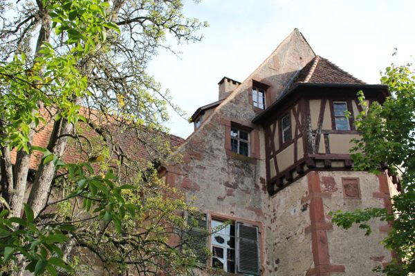 Mainzer Amtskellerei Amorbach
