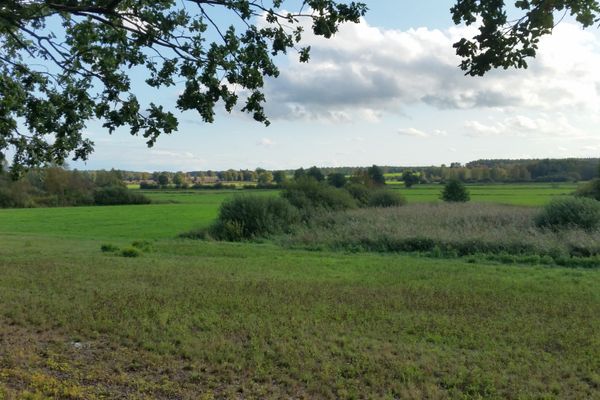 Die Bodenteicher Seewiesen bei Schostorf bieten eine weitläufige Wiesen- und Feuchtlandschaft mit reizvollen Ausblicken und vielfältiger Natur.