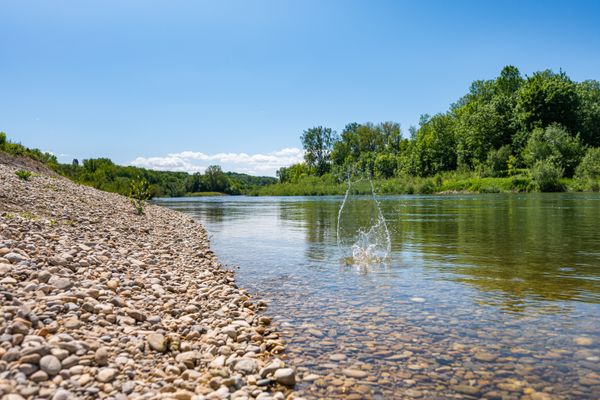 Landau-an-der-Isar_Renaturierung_2021_original_Daxl-Eiglsperger_DSC_7456