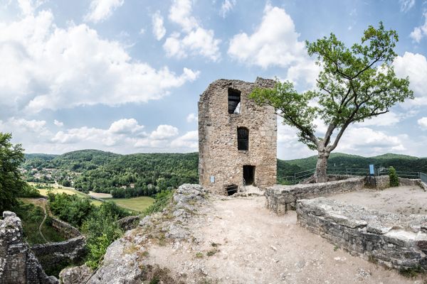 Blick auf einen Turm einer Burgruine, neben dem eine Baum steht.
