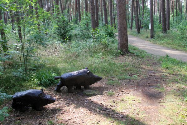 Holztiere am Rollstuhlwanderweg