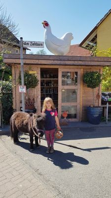 Ein kleines Mädchen mit blondem Haar steht strahlend neben einem kleinen, braunen Pony. Es hält einen Korb mit Eiern in der Hand. Hinter ihrn ist eine hölzerne Hütte zu erkennen, der Hofladen. Im Eingangsbereich stehen einladend kleien Bäumchen in Kübeln. Auf dem Dach sitzt zur Dekoration ein übergroßes weißes Huhn. Das Straßenschild mit der Aufschrift Am Ziehborn ist zu erkennen.