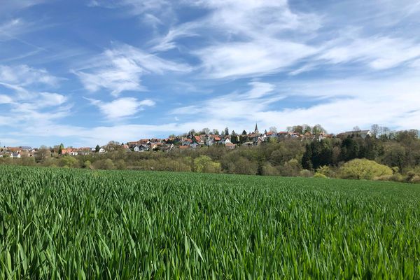 Blick über ein grünes Feld auf Homberg, das sich auf einem Höhenzug im Hintergrund erhebt. Der Himmel ist strahlend blau und mit weißen Schleierwolken durchzogen.