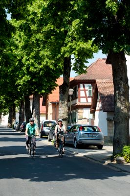 Lindenallee in Strullendorf