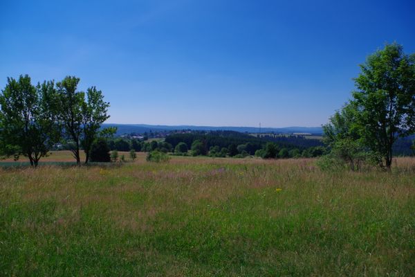 Auf dem Lerchenhügel