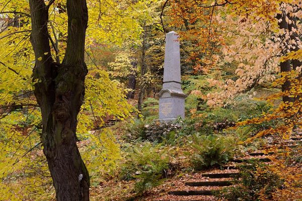 Teil vom Dendrologischen Garten in Bad Berneck