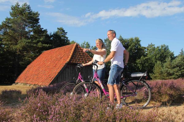 Zwei Radfahrende stehen mit ihren Fahrrädern in der Bodenteicher Heide am Schwarzen Berg.