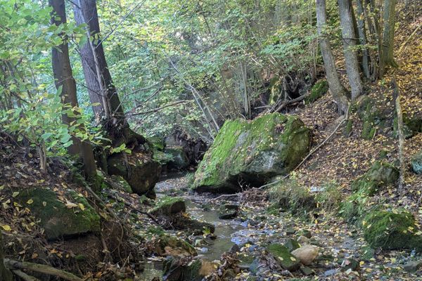 Der Mühlenweg eine Reise in die „kleine Fränkische Schweiz“