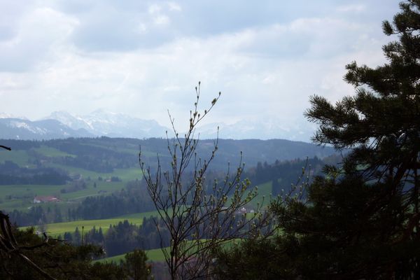 Alpenblick
