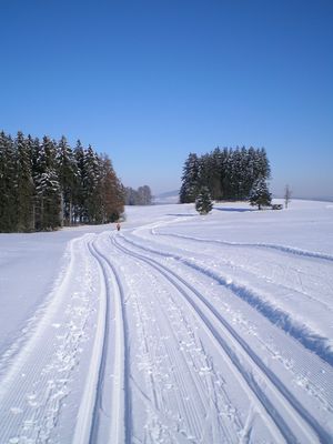 Langlaufloipe