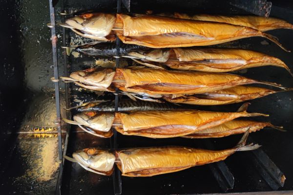 In einem Räucherofen hängen Fische.
