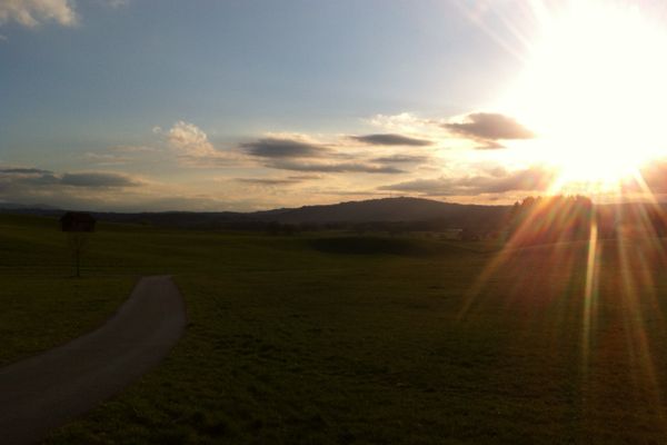 Blick auf die Alpen im Sonnenuntergang