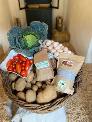 In einem Weidekorb liegen verschiedene Lebensmittel, wie Kartoffeln und Tomaten.