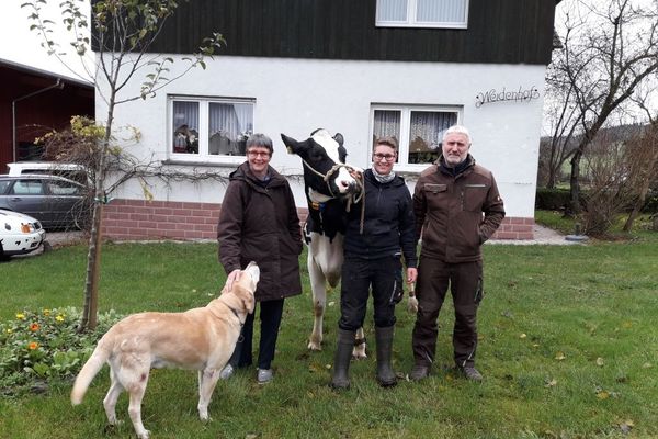Familie Müller mir einer ihrer Kühe und Hunden auf ihrem Weidenhof