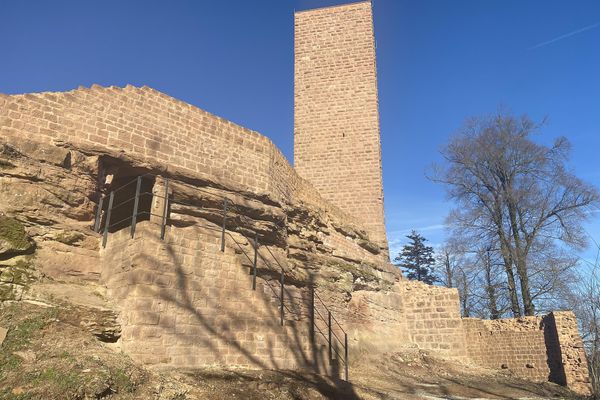 Bild des Datensatzes Burgruine Scharfenberg